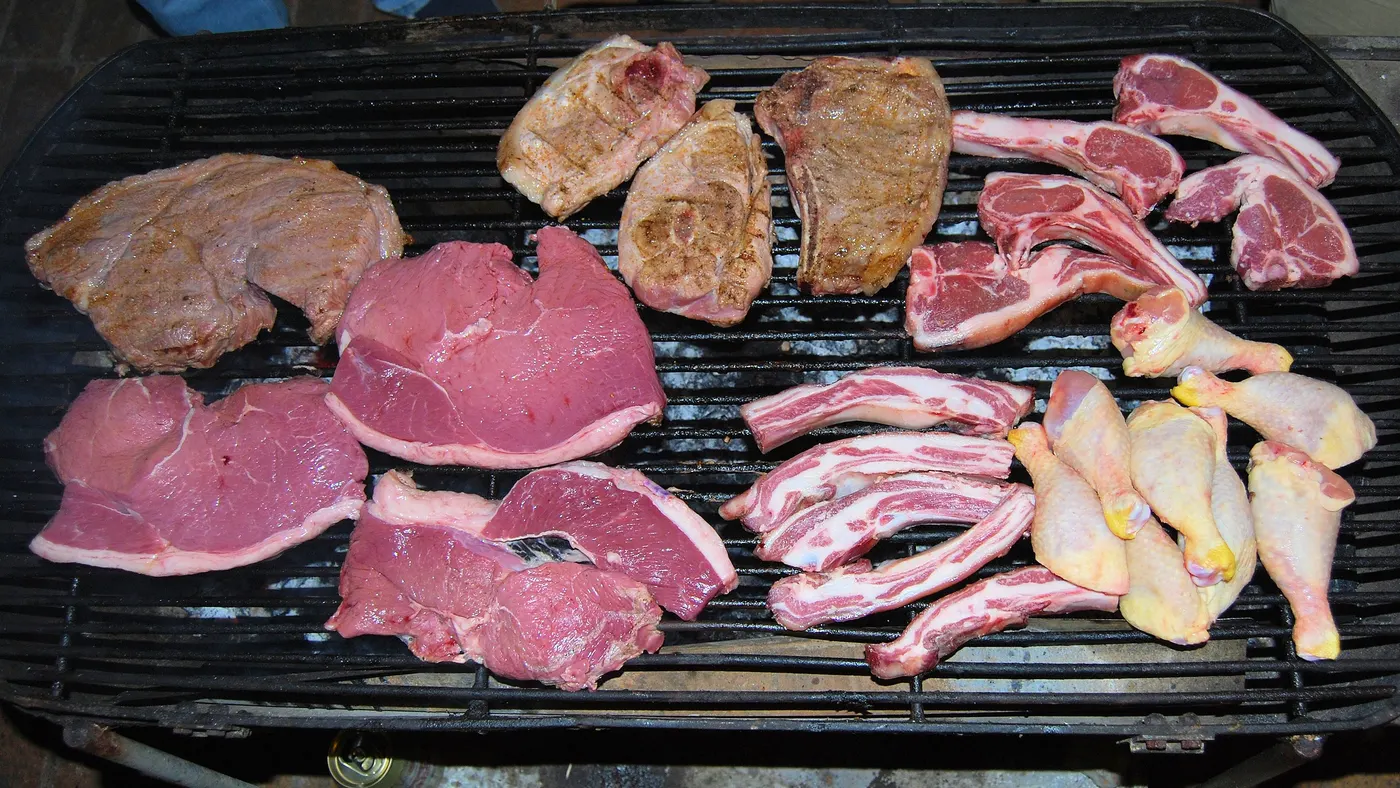 Rohe Steaks, Koteletts und Rippchen nebeneinander auf einem Braai-Rost