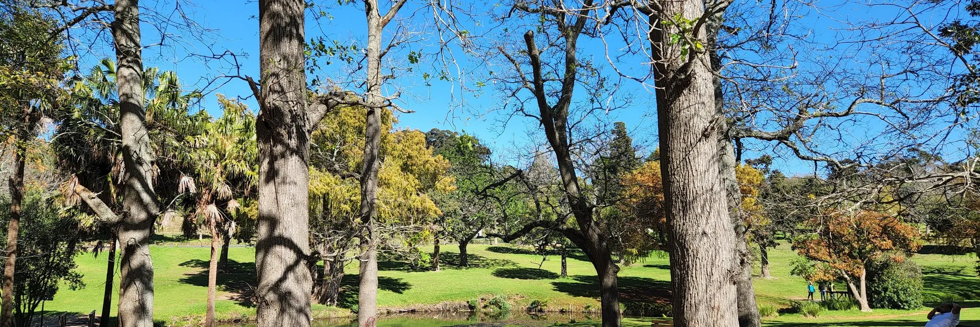 Gemauerte Braai-Stellen zwischen den Bäumen im Wynberg Park in Kapstadt
