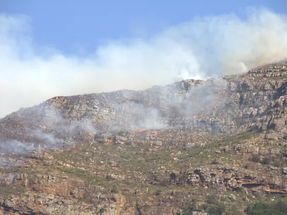 Rauch zieht über einen Felshang am Tafelberg, auf dem Fynbos brennt