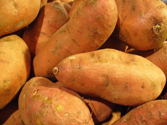 Rohe Süßkartoffeln mit oranger Schale, dicht aufgeschichtet
