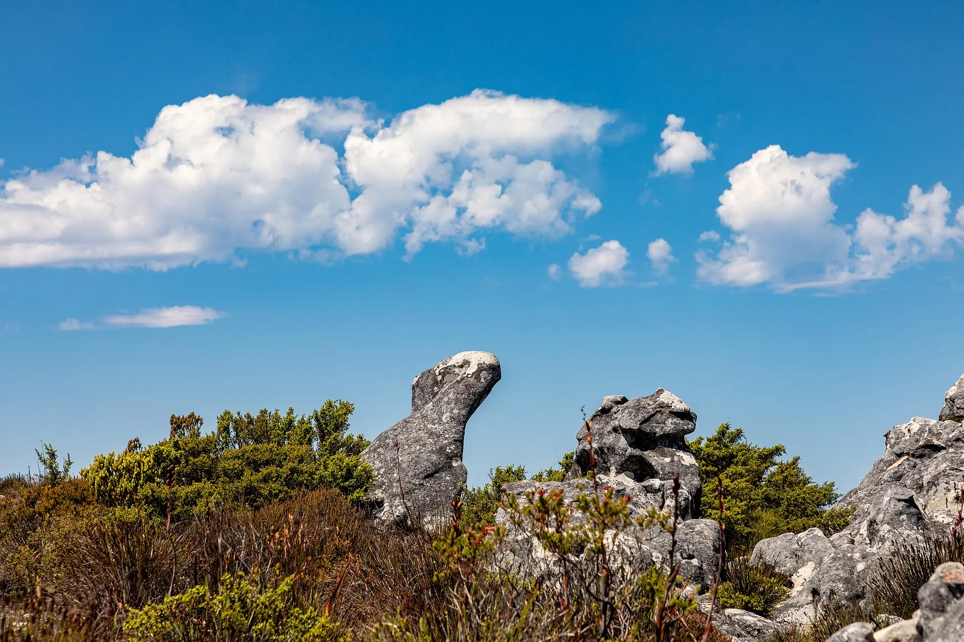 Der Tafelberg über Kapstadt bei klarem Wetter